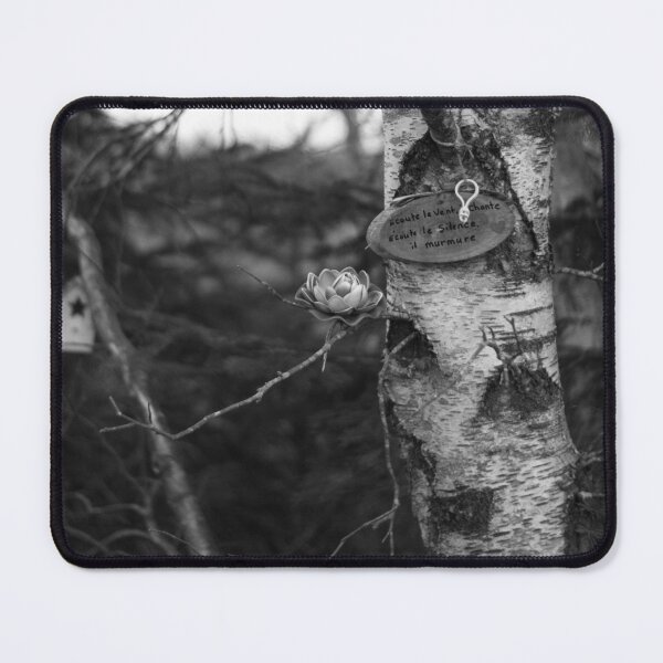 Item preview, Mysterious Pointe a Bouleau Forest in Tracadie, New Brunswick Canada V4 designed and sold by Family Journey with God.