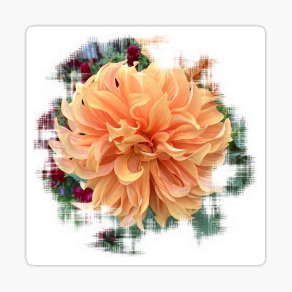 Item preview, Dahlia peach flower photo abstract design by iritof designed and sold by iritof.