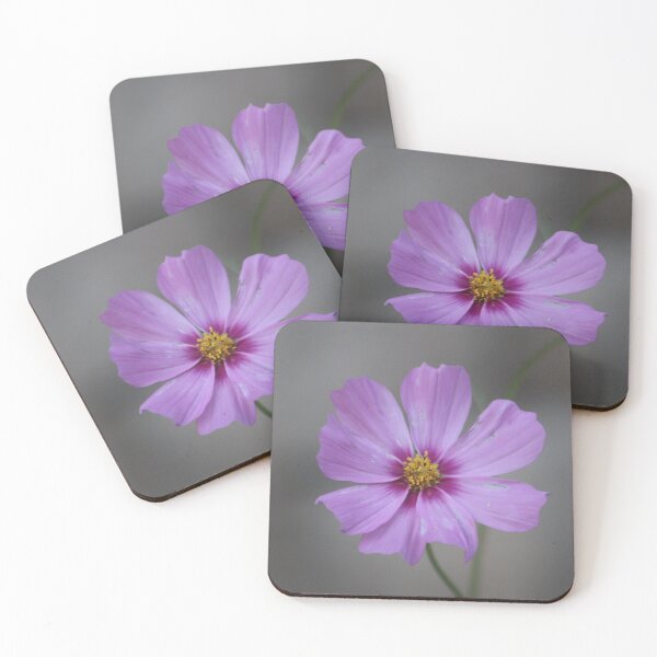 Item preview, Pretty purple flower bloom designed and sold by djsfoto.