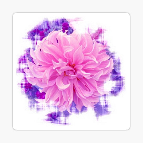 Item preview, Dahlia Pink- Lilac color flower photo abstract design by iritof designed and sold by iritof.