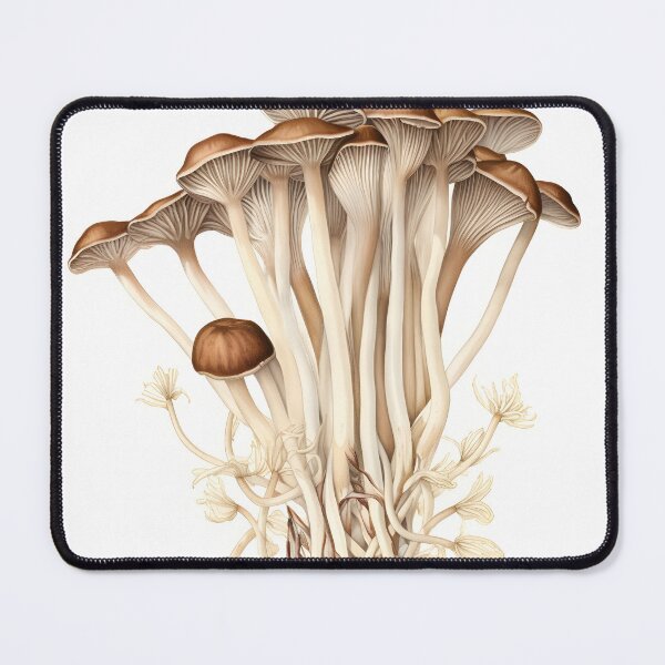 Item preview, Enoki Mushroom  designed and sold by DigitalPalette1.