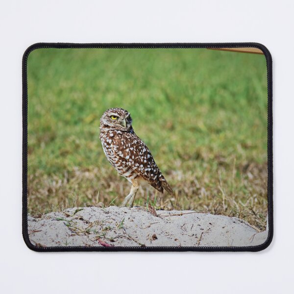 Item preview, Contemplation designed and sold by Michiale.