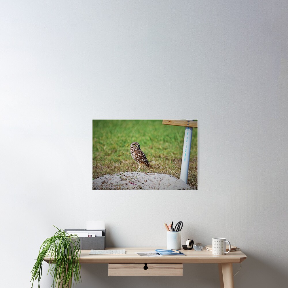 Item preview, Poster designed and sold by Michiale.