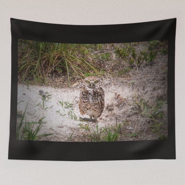 Item preview, Burrowing Owl designed and sold by Alla Gill.
