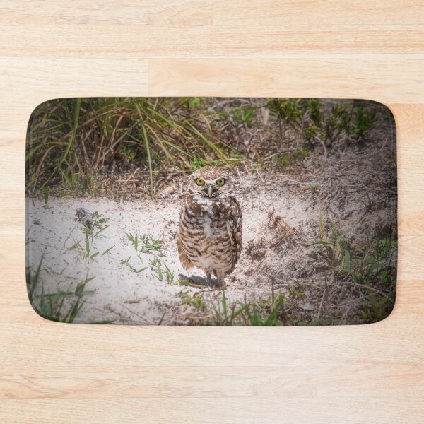 Item preview, Burrowing Owl designed and sold by Alla Gill.