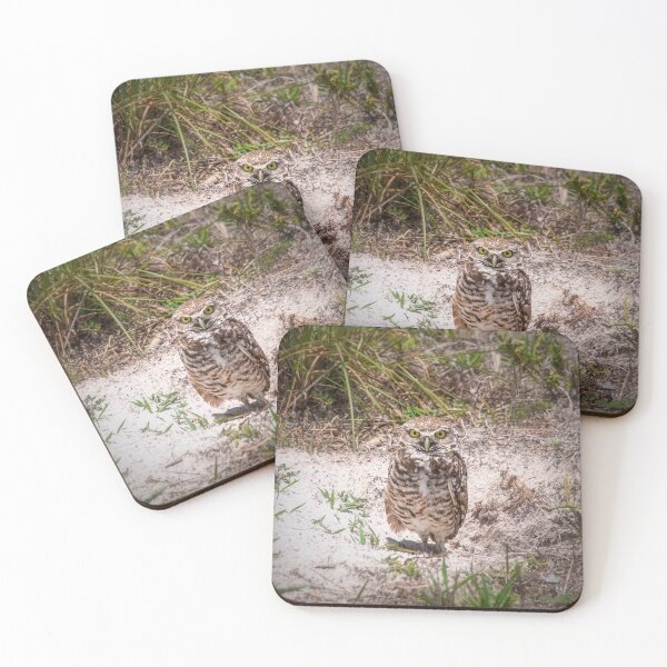 Item preview, Burrowing Owl designed and sold by Alla Gill.