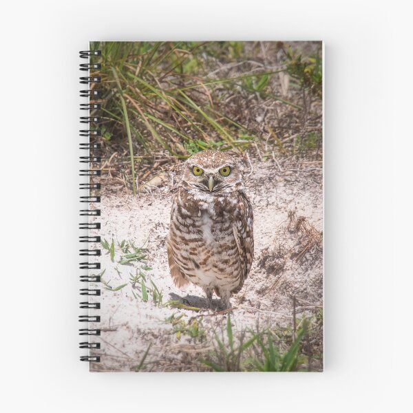 Item preview, Burrowing Owl designed and sold by Alla Gill.