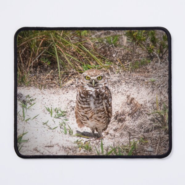 Item preview, Burrowing Owl designed and sold by Alla Gill.