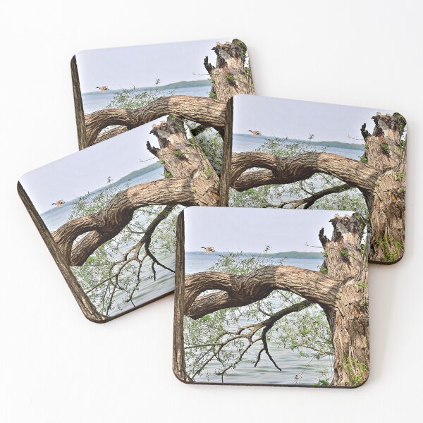 Item preview,  Trees, a Lake, and a Mallard Duck designed and sold by Martha Sherman.