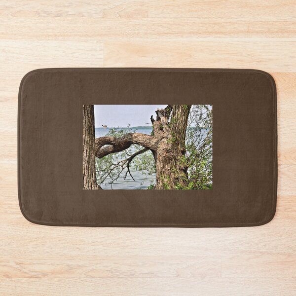 Item preview,  Trees, a Lake, and a Mallard Duck designed and sold by Martha Sherman.