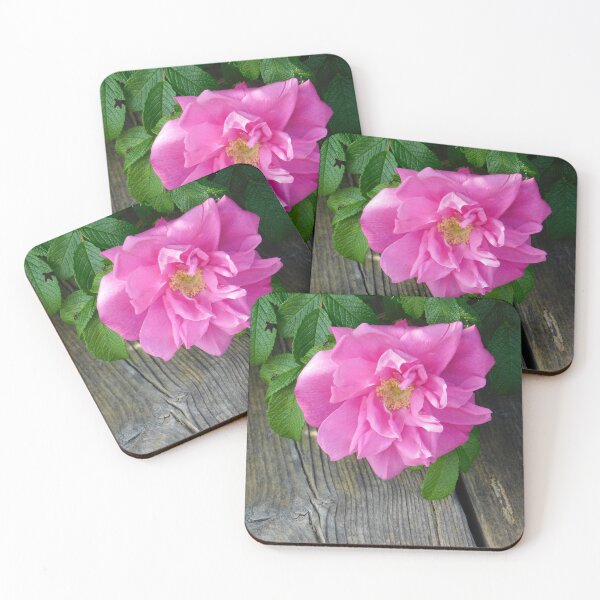 Aperçu de l'œuvre Rose et Bois créée et vendue par SweetbriarPhoto.
