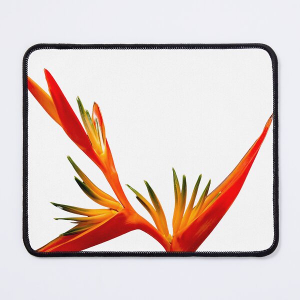 Item preview, Heliconia designed and sold by RASARALINE.