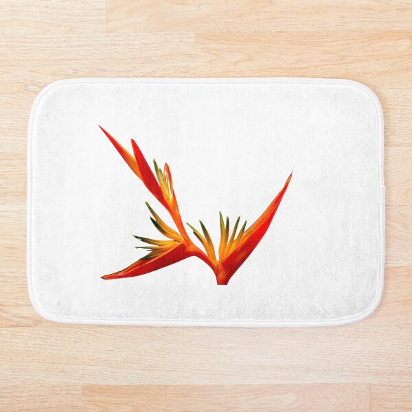 Aperçu de l'œuvre Heliconia créée et vendue par RASARALINE.