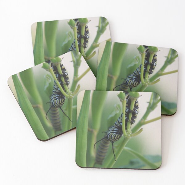 Item preview, Catepillar lunch time designed and sold by djsfoto.