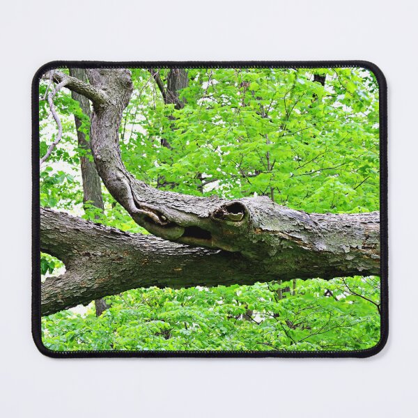 Item preview, A Branch That Looks Like an Alligator designed and sold by Martha Sherman.