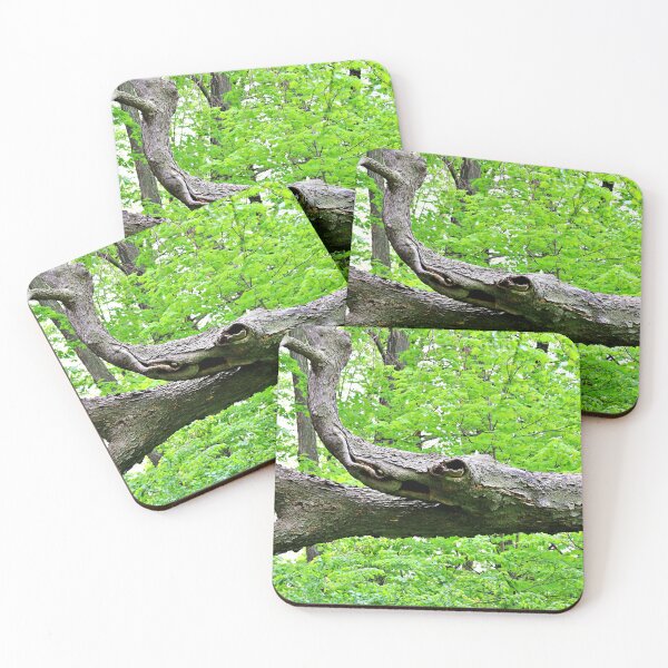 Item preview, A Branch That Looks Like an Alligator designed and sold by Martha Sherman.