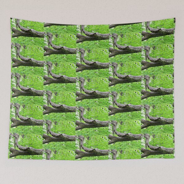 Item preview, A Branch That Looks Like an Alligator designed and sold by Martha Sherman.