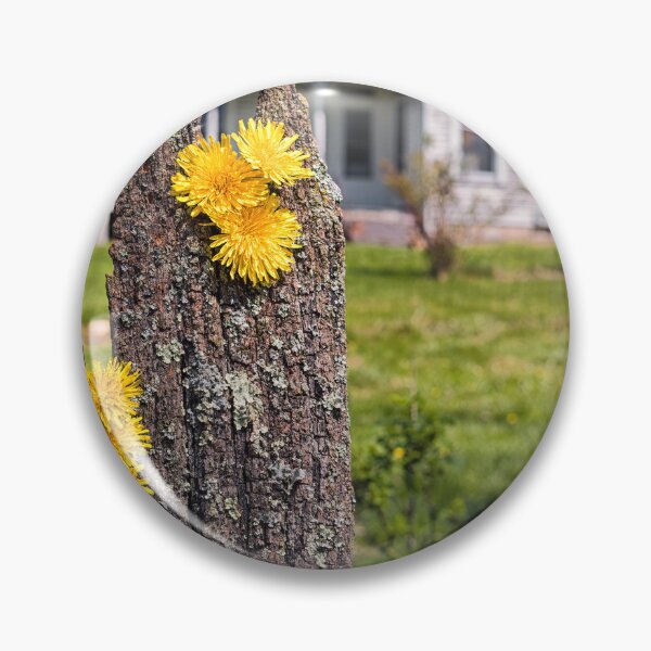 Item preview, Old Fencepost And Dandelions designed and sold by Jim Love.