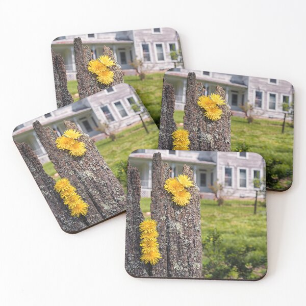 Item preview, Old Fencepost And Dandelions designed and sold by Jim Love.