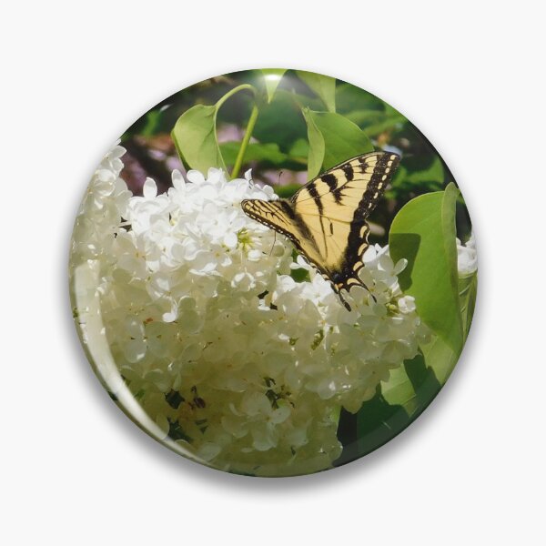 Item preview, Eastern Tiger Swallowtail  designed and sold by SweetbriarPhoto.