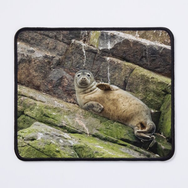 Item preview, Happy Seal saying hi designed and sold by Dev Kiran.