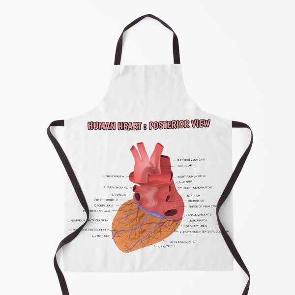Item preview, Human Heart Posterior View  designed and sold by Weird-Artss.