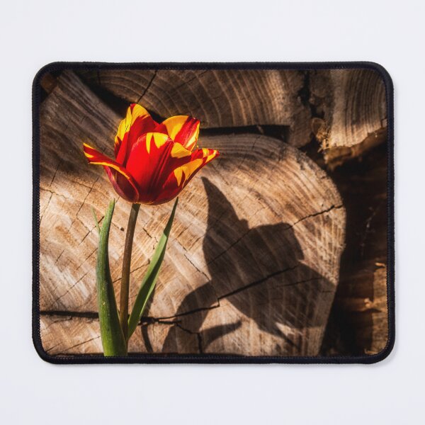 Item preview, Woodshed Tulip designed and sold by Jim Love.