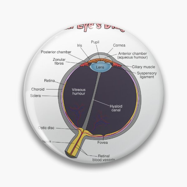 Item preview, Eye Diagram Knowledge  designed and sold by Weird-Artss.