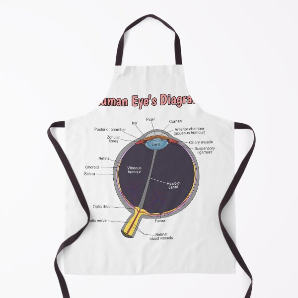 Item preview, Eye Diagram Knowledge  designed and sold by Weird-Artss.