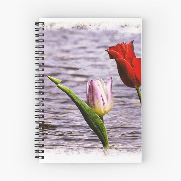 Aperçu de l'œuvre Fractured Tulips créée et vendue par Jim Love.