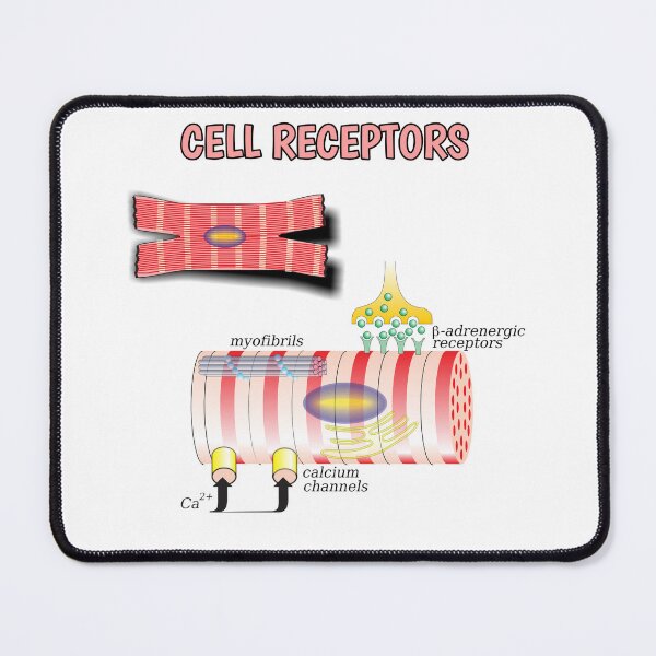 Item preview, Cell Receptors Myofibril designed and sold by Weird-Artss.