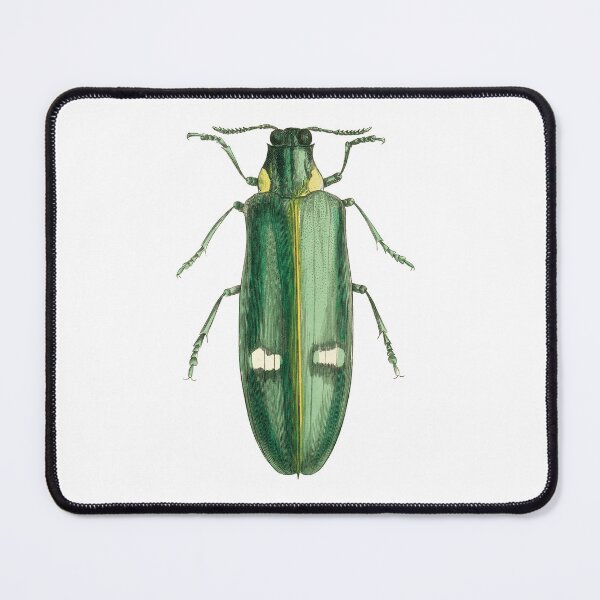 Item preview, Green Bug designed and sold by Muycote.