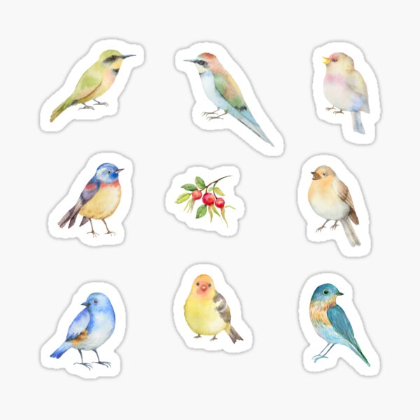 Artikel-Vorschau von Aquarell Vögel, designt und verkauft von silviaol.