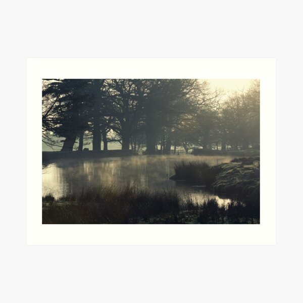 Bradgate Park, Leicester Art Print
