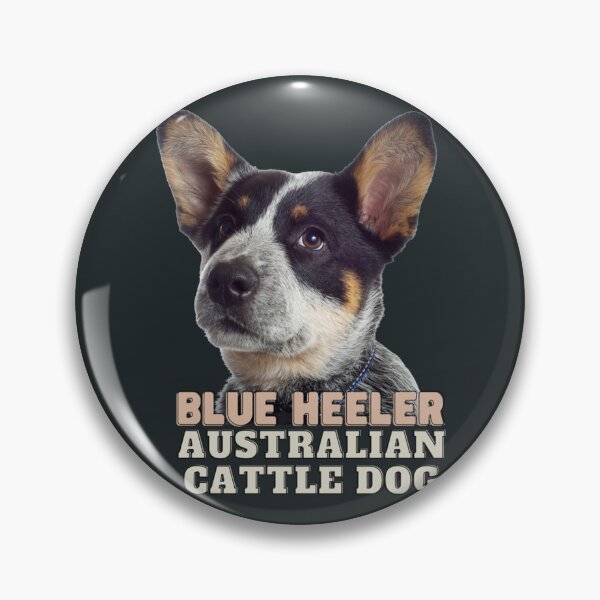 Item preview, The Australian Cattle Dog Blue Heeler    designed and sold by AntoneCox.