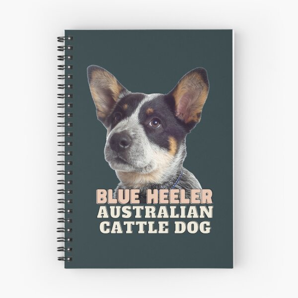 Artikelvorschau, Der Australian Cattle Dog Blue Heeler entworfen und verkauft von AntoneCox.