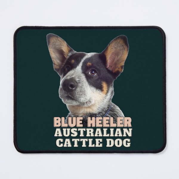 Item preview, The Australian Cattle Dog Blue Heeler    designed and sold by AntoneCox.
