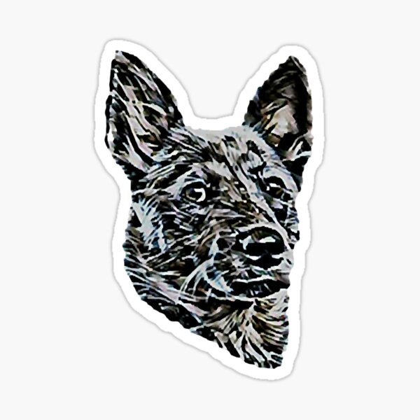 Item preview, Australian Cattle Dog Red Blue Queensland Heeler   designed and sold by AntoneCox.