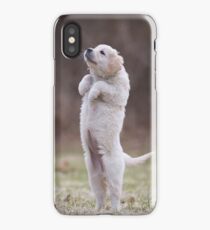 Puppy iPhone Case