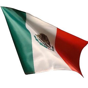 Artwork thumbnail, Waving Mexican Flags by Mud-di