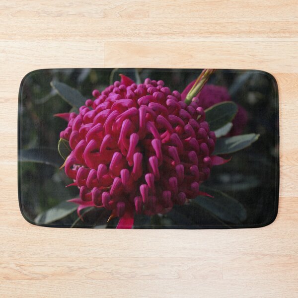Item preview, Waratah Flower designed and sold by Linda Sijpkes.