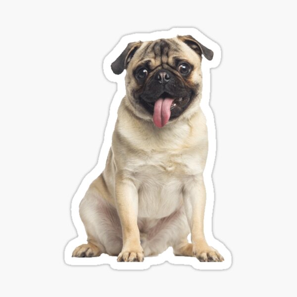 Item preview, Pug designed and sold by tffindlay.