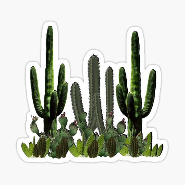 Desert Haven Sticker
