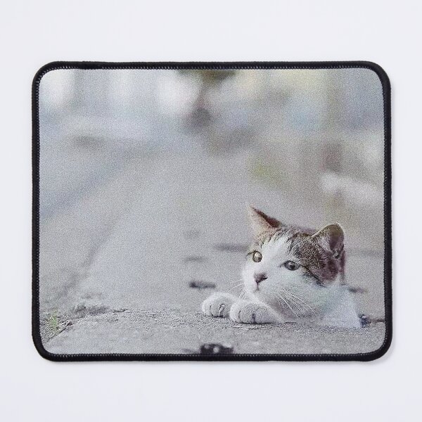 Item preview, Mew-ltiple Cuteness: Wisdom Cat In-Play designed and sold by Neo-Figur3.