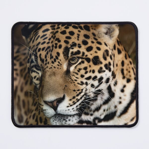 Item preview, Portrait of Lady Leopard designed and sold by elisewied.