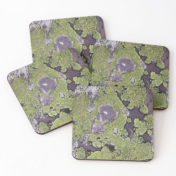 Item preview, lichen  designed and sold by KathleenDawson.