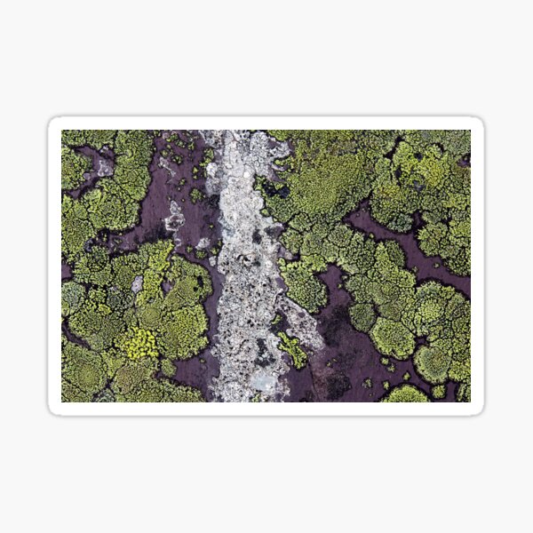 Item preview, lichen  designed and sold by KathleenDawson.
