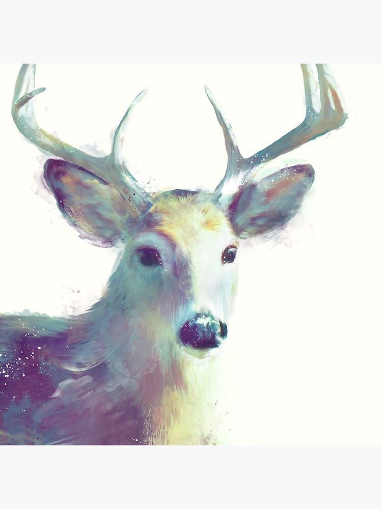 Whitetail No. 2 by AmyHamilton