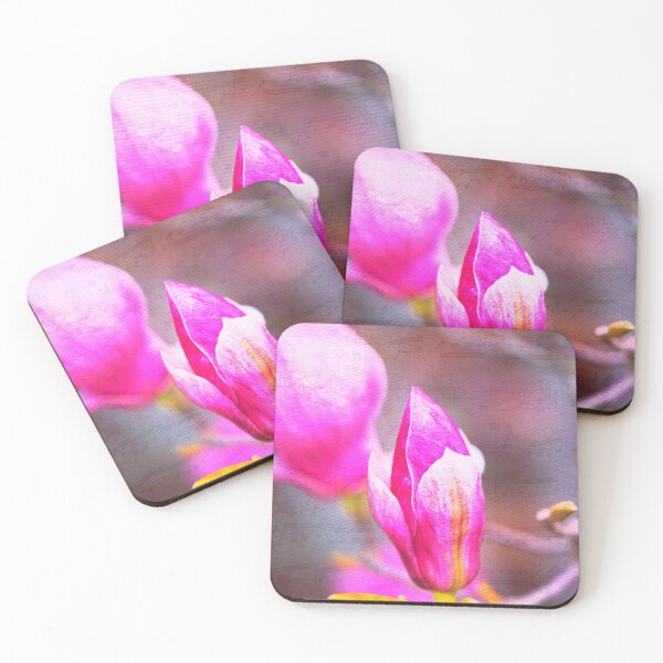 Item preview, Magnolia Dance Music designed and sold by Joy Watson - Natural Light Photography .