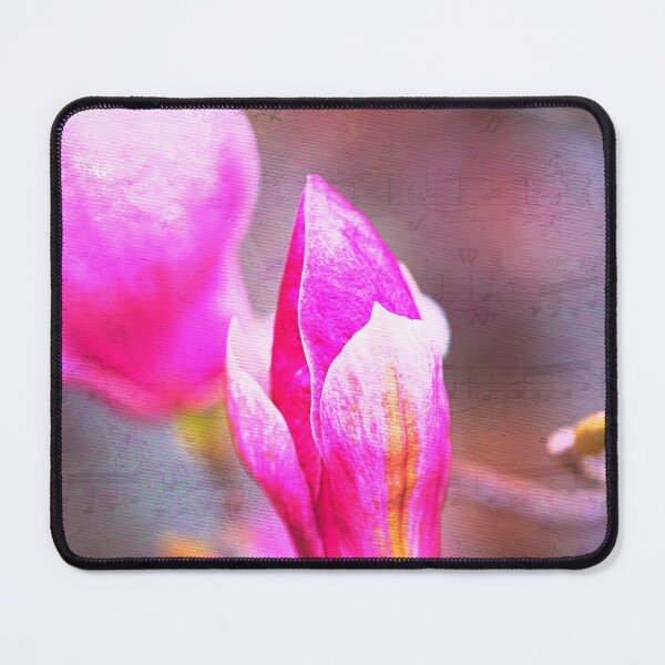 Item preview, Magnolia Dance Music designed and sold by Joy Watson - Natural Light Photography .